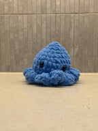 Mini Octopus