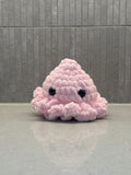 Mini Octopus
